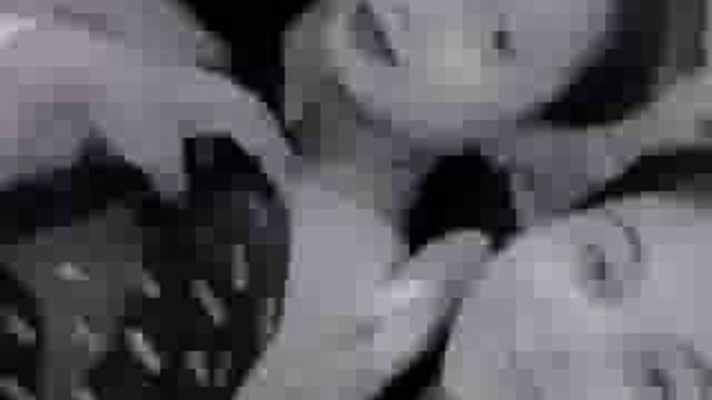 🚨 ब्रेकिंग: हमीरपुर में ट्रैफिक नियमों की उड़ाई धज्जियां
🎥 रील बनाने के चक्कर में 4 युवतियां एक ही बाइक पर सवार
🚦 ट्रैफिक नियमों को किया नजरअंदाज, वीडियो किया वायरल
📱 सोशल मीडिया पर रील शेयर कर बटोरी सुर्खियां
📍 सदर कोतवाली क्षेत्र के चौरा देवी इलाके की घटना