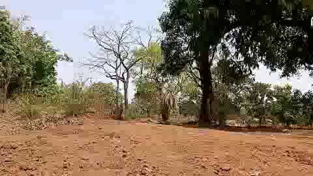 छत्तीसगढ़ के बीजापुर में सुरक्षाबलों ने नक्सलियों की बड़ी साजिश को नाकाम कर दिया#latest_news