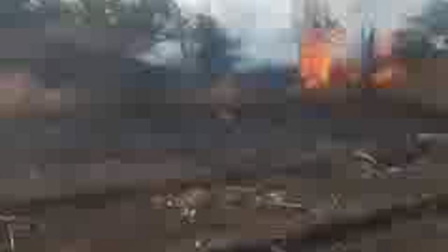 दीड एकर आंब्याची बाग अज्ञातांनी लावलेल्या आगीत जळून खाक. लाखो रुपयांचे नुकसान. 