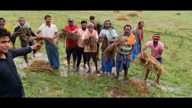 किसानों द्वारा दिए गए आवेदन पर जिला कृषि पदाधिकारी ने आंधी एवं ओलावृष्टि से हुए फसल नुकसान का लिया जायजा।