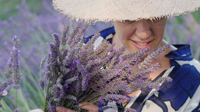 Film corporate MANE — sourcing lavandin en Provence