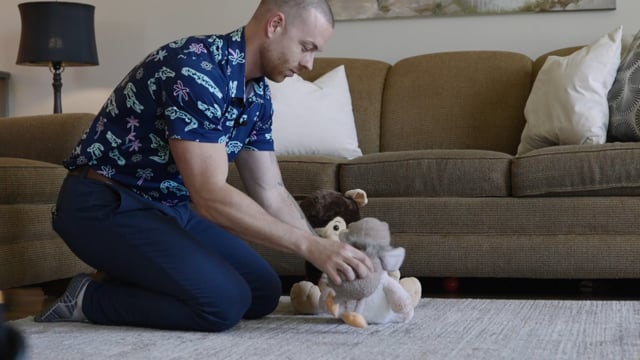 Agent-Guided Signature Video