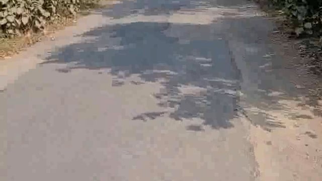 वर्षों से जर्जर पड़ी सड़क बनी दुर्घटना का सबब 