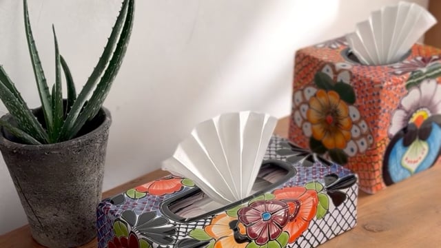 Vimeo video preview for Canyon Glow Talavera Tissue Box Covers - 1076959460