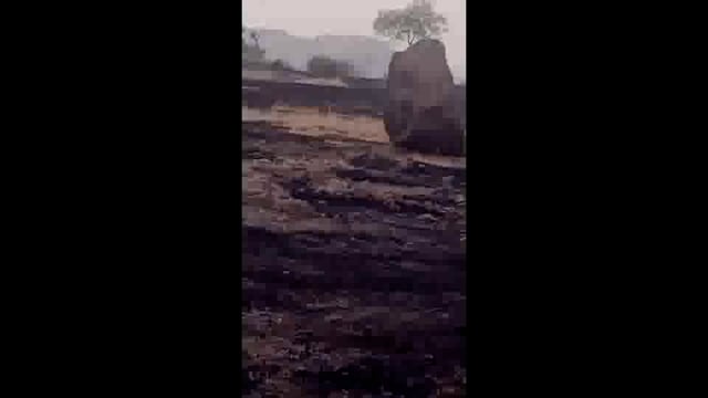 जांभुळणी येथे वन विभागाच्या जमिनीवरती आग लागून 100 हेक्टर वनसंपदा जळून खाक अधिकाऱ्यांच्या निष्काळजीपणा बद्दल नागरिकांमधू