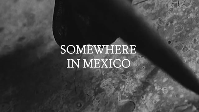 The Collectional, Somewhere in Mexico