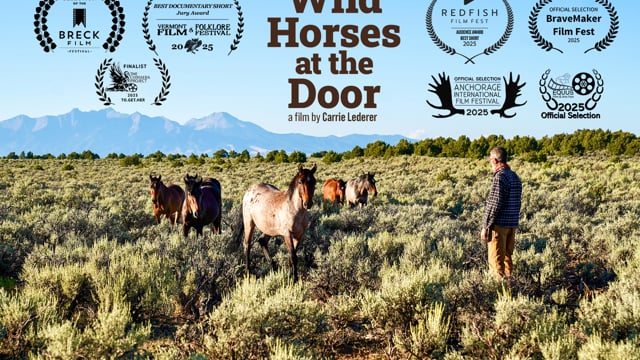 Wild Horses at the Door