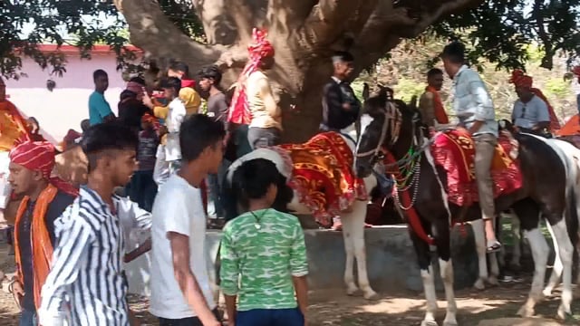 तीन दिवसीय श्री राम महायज्ञ को लेकर 501 कलश एवं 2 दर्जनों घोड़े के साथ निकली गई भव्य कलश शोभायात्रा