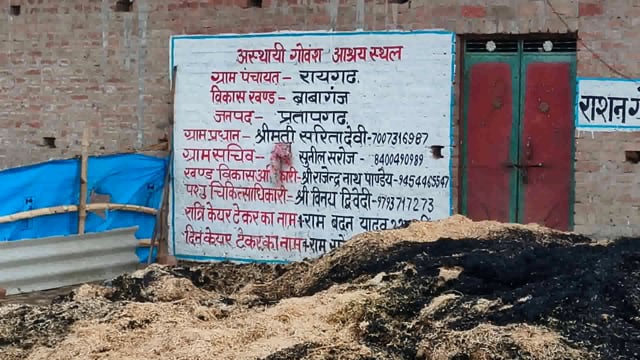 ब्लाक बाबागंज अंतर्गत ग्राम पंचायत रायगढ़ में बने गौशाला के अंदर रखे भूसे की ढेर में अज्ञात कारणों से लगी आग गोवंश रहे 