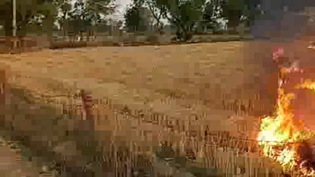 खेत में लगी आग हुआ हजारों का नुकसान अछनेरा करावली रोड चंदा पेट्रोल पंप के पास का है यह पूरा मामला पुलिस कार्यवाहीमें जुट