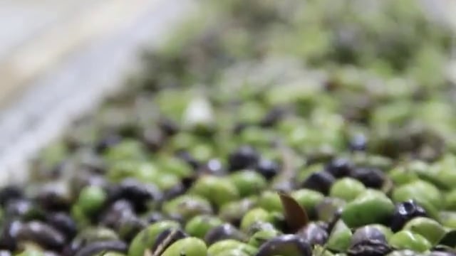 The Olive Press