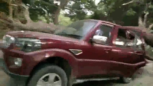 तेज हवा के कारण वाल्मिकी नगर 3 नंबर पहाड़ पर स्कॉर्पियो पे गिरा पेड़ 