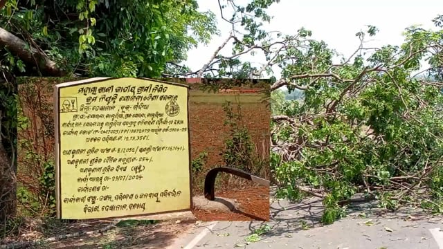 ଯୋରନ୍ଦା ଅଞ୍ଚଳରେ ଗତ ରାତି ବର୍ଷା ର ତାଣ୍ଡବ ଭାଙ୍ଗିଲା କାଲୁରିଆ ଯୋରନ୍ଦା ବୋର୍ଡ଼ ପ୍ରଶାସନ ଚୁପ I