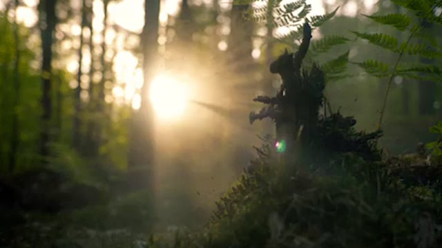 Video thumbnail image