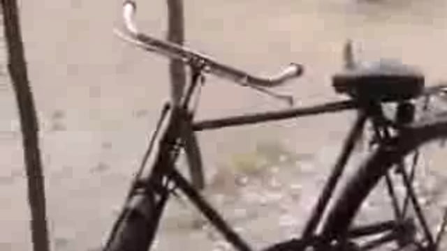 ▶️....बाराबंकी में अचानक बदला मौसम, तेज हवाओं और बारिश से गर्मी का मौसम हुआ सुहाना, हैदरगढ़, त्रिवेदीगंज इलाके में गिरे ओले।