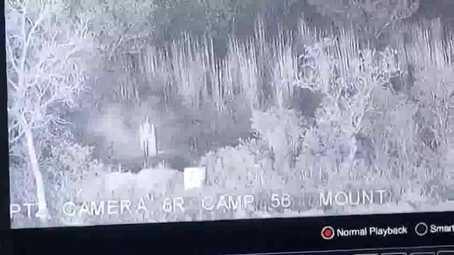 जम्मू-कश्मीर: सांबा जिले में बीएसएफ ने घुसपैठ की बड़ी कोशिश नाकाम की, 7 आतंकी ढेर#war