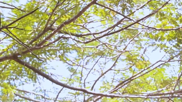 46TH BATCH FAREWELL DAY DOCUMENTARY Thumbnail