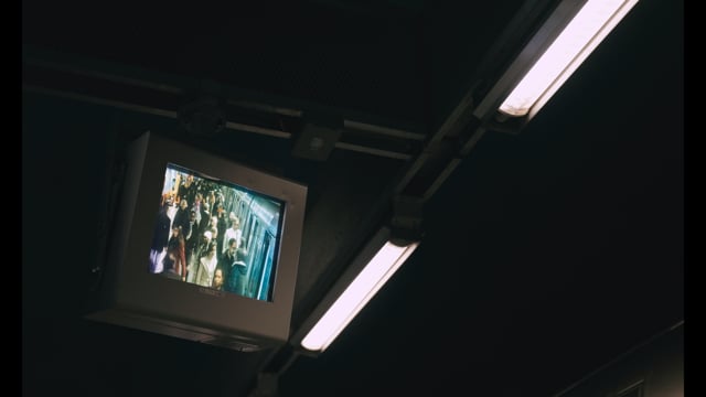 Tibor Đurđev: Žive slike