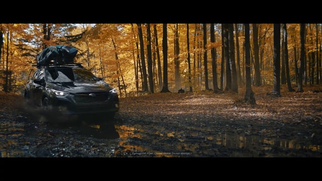 Vimeo Thumbnail