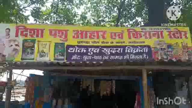 सूर्यगढ़ा बाजार में चोरों का आतंक बीती रात दो दुकानों में हुई चोरी। 