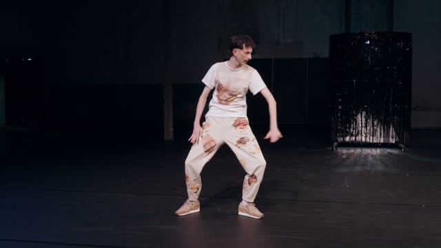 Bird Dances - Video thumbnail