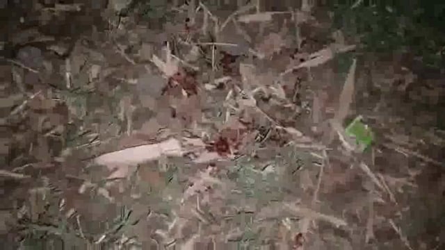 मैनपुरी - रेप, हत्या के आरोपी से पुलिस की मुठभेड़ पुलिस, SOG की बदमाश से मुठभेड़ 
 छात्रा से रेप के बाद हत्या की थी 
छात्रा का शव पेड़ पर लटका मिला था
 बदमाश ने पुलिस पर की फायरिंग
 जवाबी फायरिंग में बदमाश के पैर में लगी गोली पुलिस ने घेराबंदी कर बदमाश को पकड़ा बेवर के मझोला पुल के पास का मामला.#police