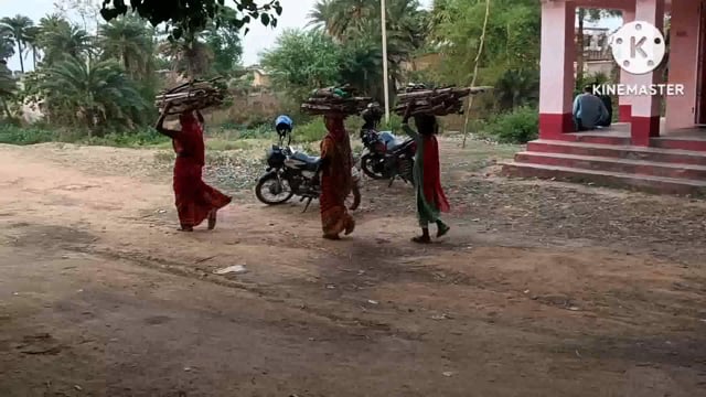 बे रोक-टोक प्रखंड क्षेत्र के जंगलों से हरे पेड़ों की कटाई से जंगल का अस्तित्व खतरे में, विभाग उदासीन 