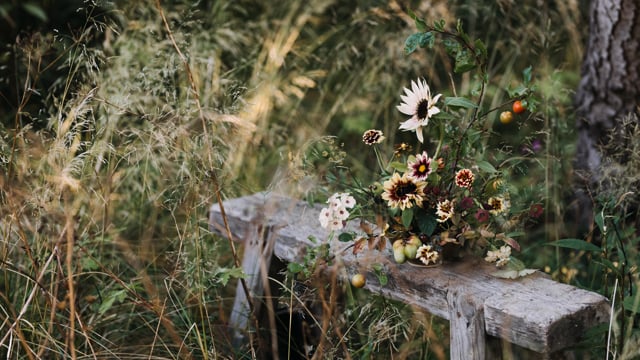 Eva Nemeth – Inspirational Garden and Plant Photography