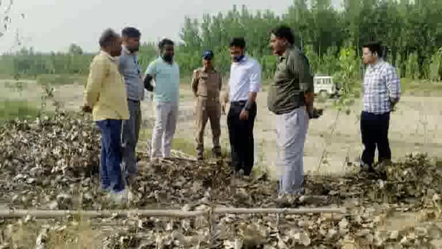 बुग्गावाला! सरकारी भूमि से अवैध रूप से किया गया पोपुलर के पेड़ो का कटान!