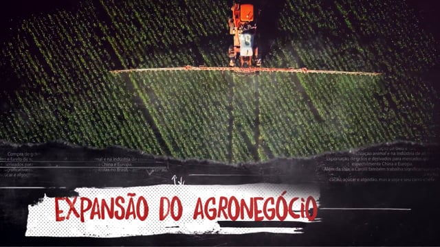 Mundano × Stand.earth