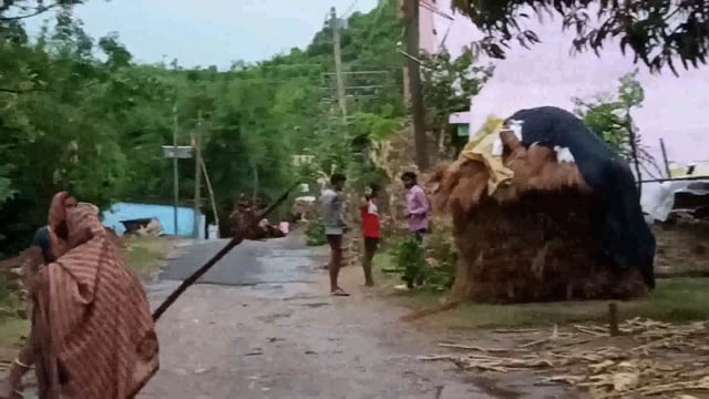 भीषण आंधी तूफान, बारिश से प्रखंड क्षेत्र में भारी तबाही,कई घरों के आशियाने उड़े आम फसल को भारी नुकसान 