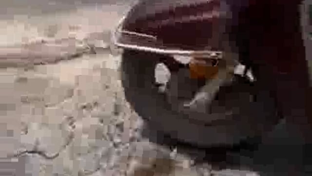 गाजियाबाद में एक दरिंदे ने एक लड़की पर तेज़ाब फेंककर उसकी ज़िंदगी को नर्क बना दिया। तेज़ाब हमले के बाद आरोपी भागने लगा, लेकिन लोगों की तत्परता से उसे पकड़ लिया गया।यह घटना इलाके में सनसनी फैल गई है और पीड़िता का इलाज जारी है। पुलिस मामले की जांच कर रही है और आरोपी के खिलाफ सख्त कार्रवाई की जा रही है।#police