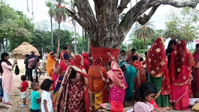 प्रखंड क्षेत्र में पति की लंबी आयु के लिए सुहागिन महिलाओं ने नेम निष्ठा से की बट वृक्ष की पूजा
