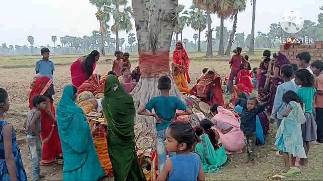 सुहागिन महिलाओं ने की वट सावित्री की पूजा, वट वृक्ष में लपेटा कच्चा धागा, सोलह सिंगार कर मंगा अखंड सौभाग्य का वरदान