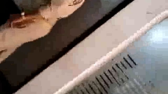 उत्तर प्रदेश के बुलंदशहर में पुलिस की बर्बरता का एक और वीडियो सोशल मीडिया पर वायरल हो रहा है। इस वीडियो में पुलिसकर्मी एक 10 साल के लड़के को कई थप्पड़ मारते हुए दिखाई दे रहे हैं।
#police