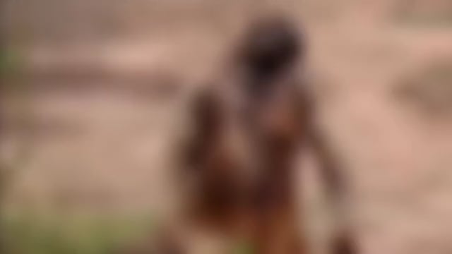 सुरहुरिया पहाड़ी पर जंगल में  अधेड़ युवक का पेड़ से लटकता हुआ मिला शव, मौके पर पहुंची पुलिस ने शव को लिया कब्जे में