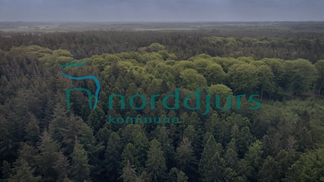 Skovdrift i Norddjurs Kommune