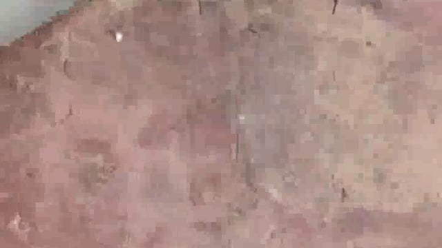 अंतर्राष्ट्रीय बस अड्डा देवघर!! कितना गन्दगी फैला हुआ है।। Pramod pardeshi 