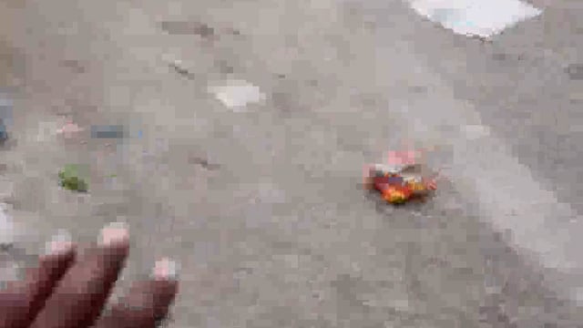 अंतर्राष्ट्रीय बस अड्डा देवघर!! कितना गन्दगी फैला हुआ है।। Pramod pardeshi 