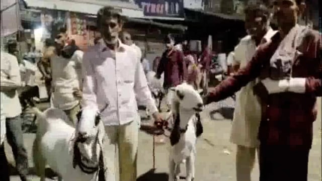 बकरी ईद पर निर्दोष जानवरों की हत्या रोकने के लिए मुख्यमंत्री को लिखा पत्र संतों ने किया समर्थन।