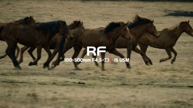 CANON - RF LENS SERIES [100-500mm]