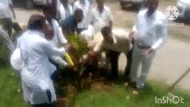 प्रखंड विकास पदा0 सूर्यगढ़ा द्वारा पौधारोपण कर पर्यावरण को बचाने का किया अनुरोध। एक पेड़ अवश्य लगाएं।