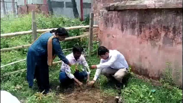 विश्व पर्यावरण दिवस पर बीडीओ ने पौधा लगाकर पर्यावरण संरक्षण का दिया संदेश।