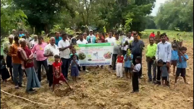 विश्व पर्यावरण दिवस पर मुखिया की अध्यक्षता में पर्यावरण संरक्षण को लेकर कार्यक्रम आयोजित