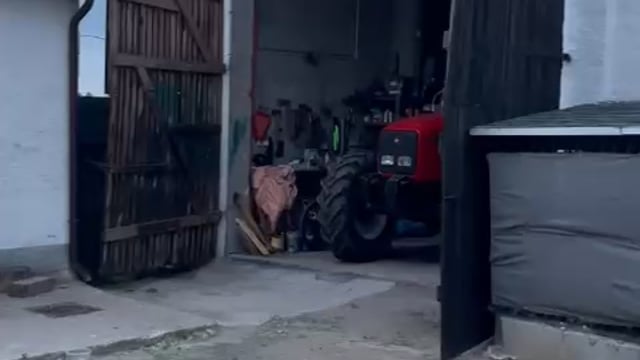 Massey Ferguson 4260 video thumbnail 1