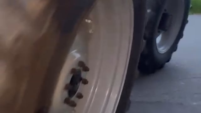 Massey Ferguson 4260 video thumbnail 3