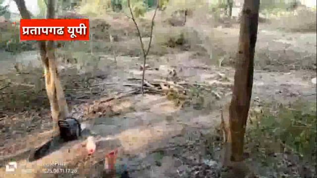 UP के प्रतापगढ़ जिले से दिनभर की बड़ी खबरें। 12/06/2025 #pratapgarh #latestnews  @reporteJitendra 