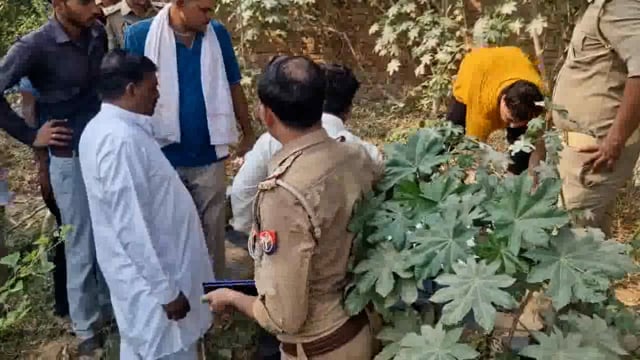 बसई अरेला में संदिग्ध हालात में मजदूर शव फंदे पर लटका मिला , हत्या की आशंका 