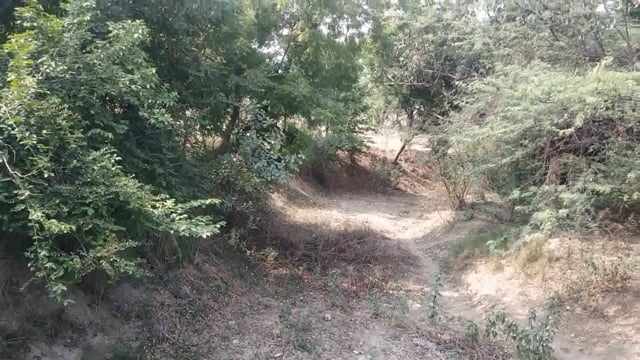 नहरों नदी नाले अमृत सरोवर सूखे पानी न होने से पशु पक्षी सभी प‌रेशान बस्तियों की तरफ कर रहे रूख ग्रामीणो को सापोसेपरेशान