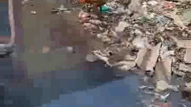 पलिया की चोक नालियां खोल रहीं पालिका प्रशासन की पोल